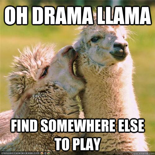 Oh drama llama find somewhere else to play - Oh drama llama find somewhere else to play  Misc