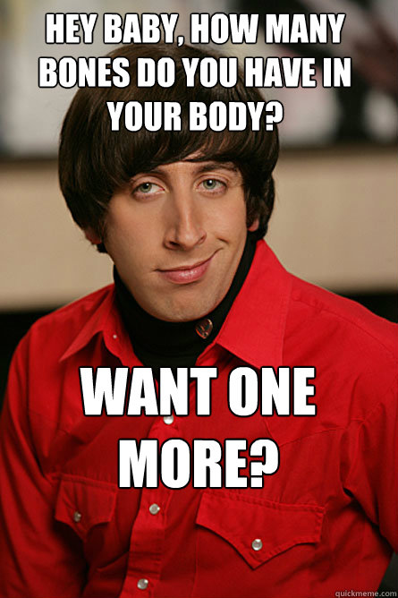 Hey baby, how many bones do you have in your body?  Want one more?  Pickup Line Scientist