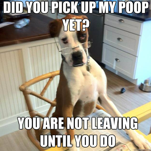 Did you pick up my poop yet? You are not leaving until you do - Did you pick up my poop yet? You are not leaving until you do  Misc
