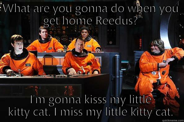 WHAT ARE YOU GONNA DO WHEN YOU GET HOME REEDUS? I'M GONNA KISSS MY LITTLE KITTY CAT. I MISS MY LITTLE KITTY CAT. Misc