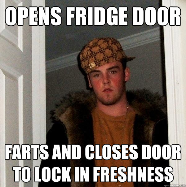 Opens Fridge door farts and closes door to lock in freshness  Scumbag Steve