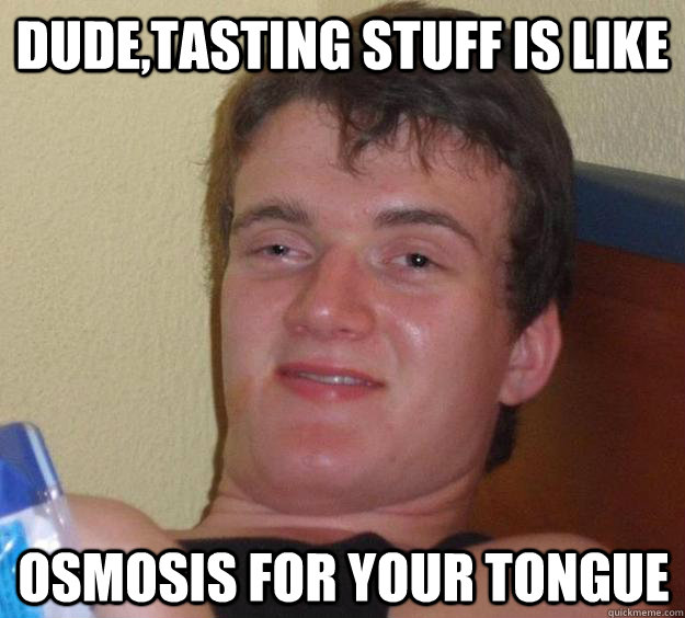 dude,tasting stuff is like osmosis for your tongue   10 Guy