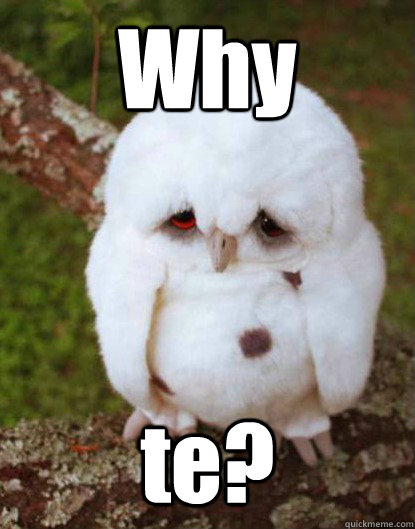 Why                                                                                                                                   te?  Depressed Baby Owl