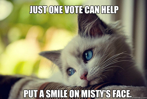 Just one vote can help put a smile on Misty's face.  First World Problems Cat
