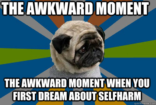 The awkward moment The awkward moment when you first dream about selfharm - The awkward moment The awkward moment when you first dream about selfharm  Clinically Depressed Pug