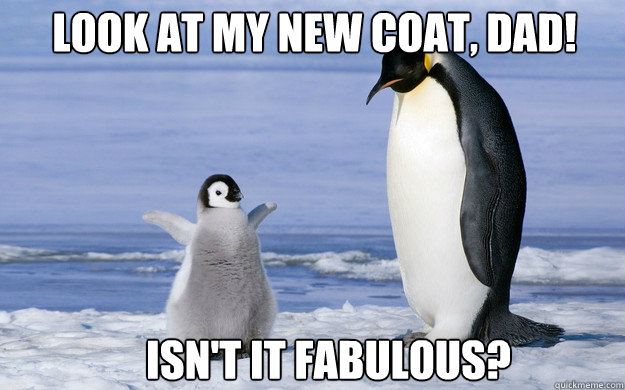 Look at my new coat, Dad! Isn't it fabulous? - Look at my new coat, Dad! Isn't it fabulous?  Coming Out Penguin