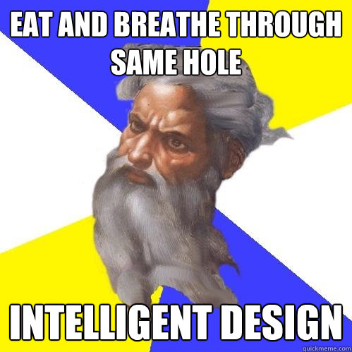 Eat and breathe through same hole Intelligent Design  Advice God