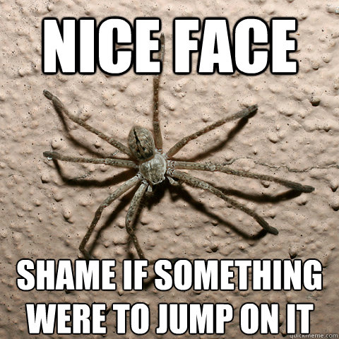 Nice face shame if something were to jump on it - Nice face shame if something were to jump on it  creepy spider