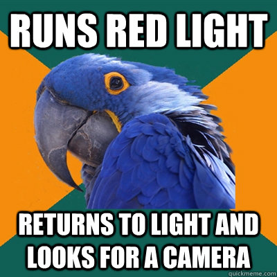 Runs red light returns to light and looks for a camera  Paranoid Parrot