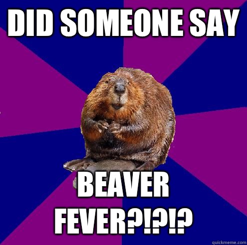 Did someone say BEAVER FEVER?!?!?  