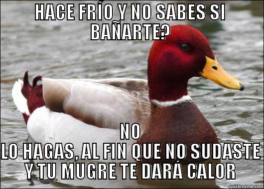 HACE FRÍO Y NO SABES SI BAÑARTE? NO LO HAGAS, AL FIN QUE NO SUDASTE Y TU MUGRE TE DARÁ CALOR Malicious Advice Mallard