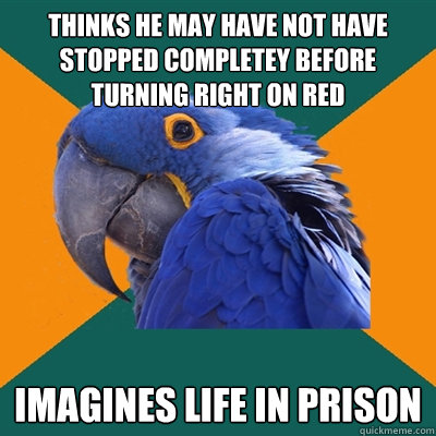 Thinks he may have not have stopped completey before turning right on red imagines life in prison  Paranoid Parrot