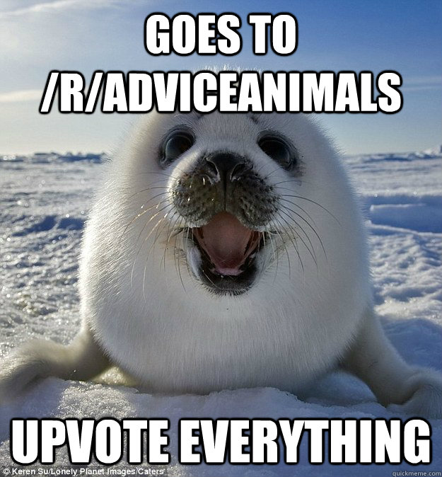 GOES TO /R/ADVICEANIMALS UPVOTE EVERYTHING  Easily Pleased Seal