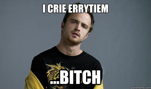 i crie errytiem ...Bitch  Jesse Pinkman Loves the word Bitch