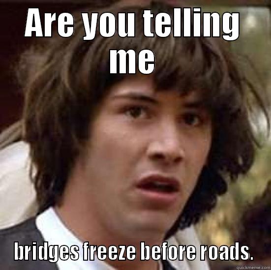 ARE YOU TELLING ME BRIDGES FREEZE BEFORE ROADS. conspiracy keanu
