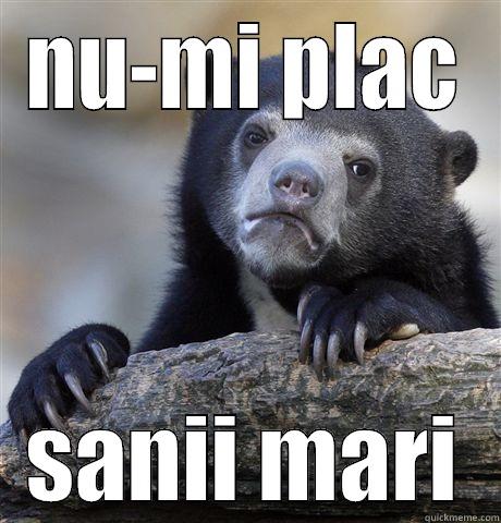 NU-MI PLAC SANII MARI Confession Bear