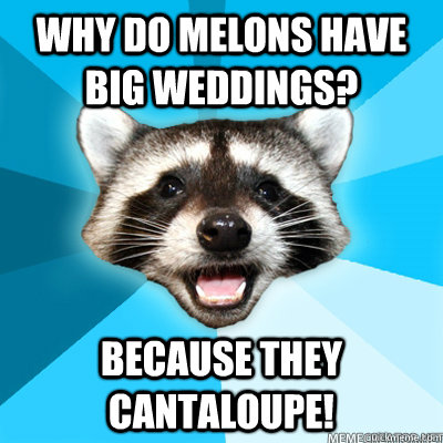 Why do melons have big weddings? Because they cantaloupe!   Lame Pun Raccoon