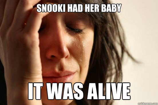 Snooki had her baby It was alive  First World Problems