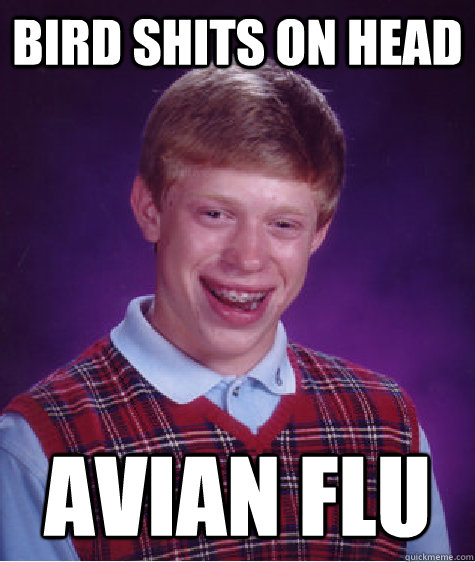 bird shits on head  avian flu  Bad Luck Brian