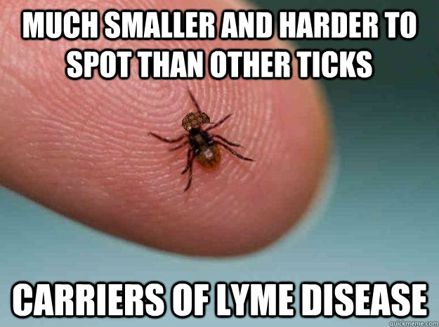 Much smaller and harder to spot than other ticks Carriers of lyme disease  Scumbag Deer Tick