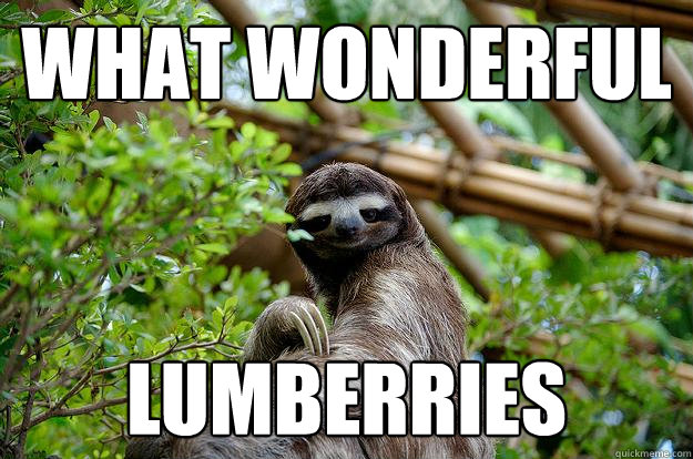 What Wonderful Lumberries  Fabulous Sloth