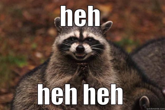 evil laughing raccoon - HEH HEH HEH Evil Plotting Raccoon