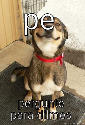 PE PERGUNTE PARA DILMES Good Dog Greg