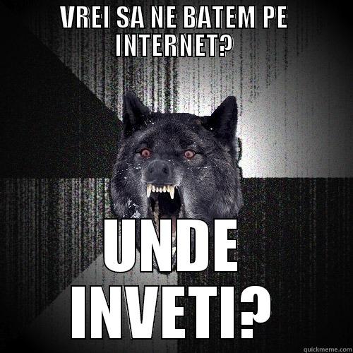 VREI SA NE BATEM PE INTERNET? UNDE INVETI? Insanity Wolf