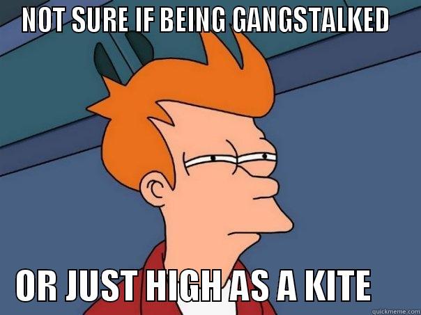 NOT SURE IF BEING GANGSTALKED     OR JUST HIGH AS A KITE       Futurama Fry