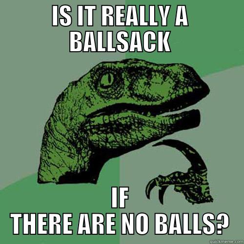 IS IT REALLY A BALLSACK IF THERE ARE NO BALLS? Philosoraptor