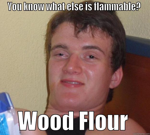 YOU KNOW WHAT ELSE IS FLAMMABLE? WOOD FLOUR 10 Guy