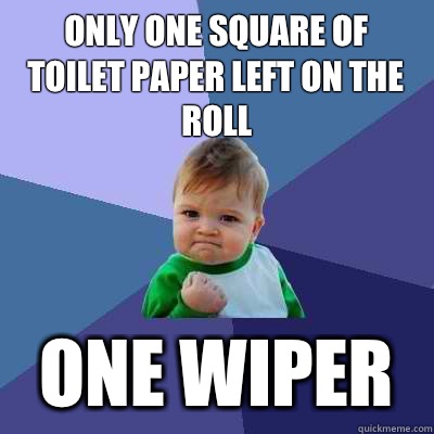Only one square of toilet paper left on the roll One wiper  Success Kid