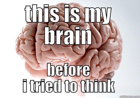 THIS IS MY BRAIN BEFORE I TRIED TO THINK Scumbag Brain