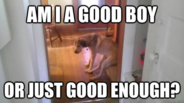 Am I a good boy or just good enough? - Am I a good boy or just good enough?  Misunderstood Depressed Dog