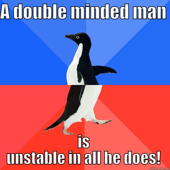 A DOUBLE MINDED MAN  IS UNSTABLE IN ALL HE DOES! Socially Awkward Awesome Penguin