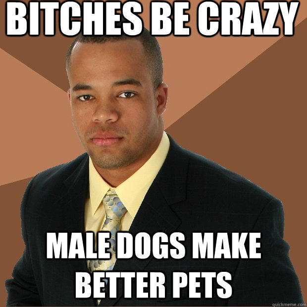 bitches be crazy male dogs make better pets  Successful Black Man