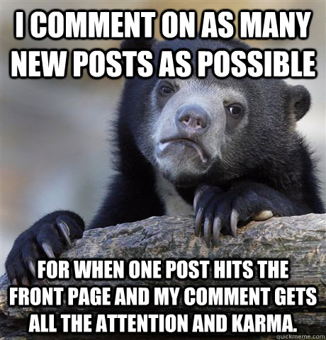 I comment on as many new posts as possible For when one post hits the front page and my comment gets all the attention and Karma.  Confession Bear