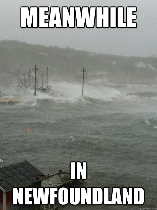 meanwhile in newfoundland  meanwhile in newfoundland