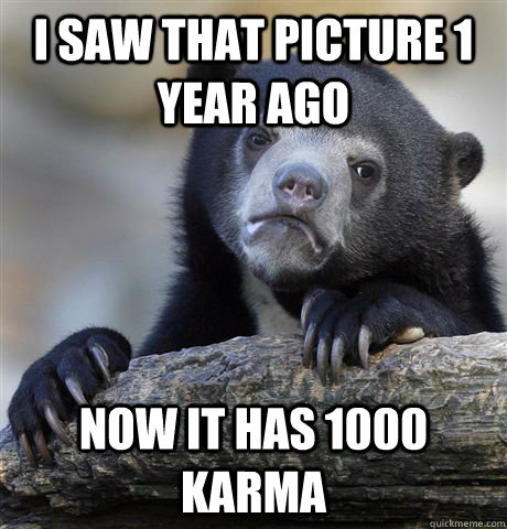 I saw that picture 1 year ago Now it has 1000 Karma  Confession Bear
