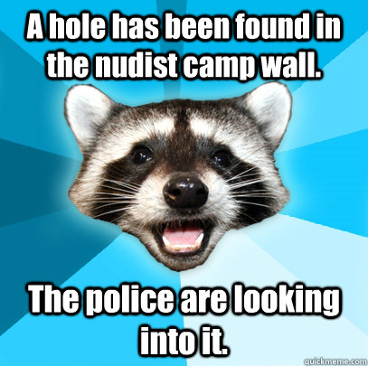 A hole has been found in the nudist camp wall. The police are looking into it.  Lame Pun Coon