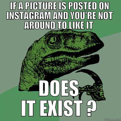 IF A PICTURE IS POSTED ON INSTAGRAM AND YOU'RE NOT AROUND TO LIKE IT  DOES IT EXIST ? Philosoraptor