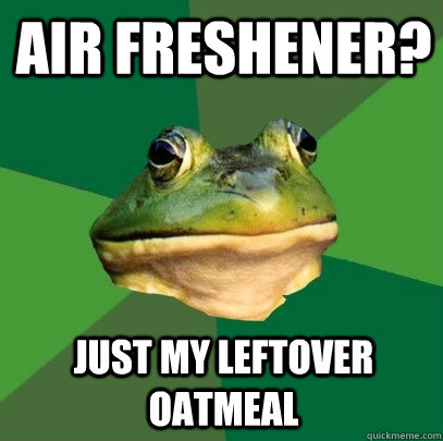 Air freshener? Just my leftover oatmeal  Foul Bachelor Frog