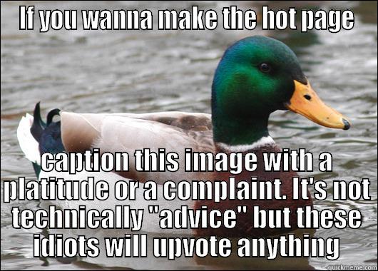 IF YOU WANNA MAKE THE HOT PAGE CAPTION THIS IMAGE WITH A PLATITUDE OR A COMPLAINT. IT'S NOT TECHNICALLY 