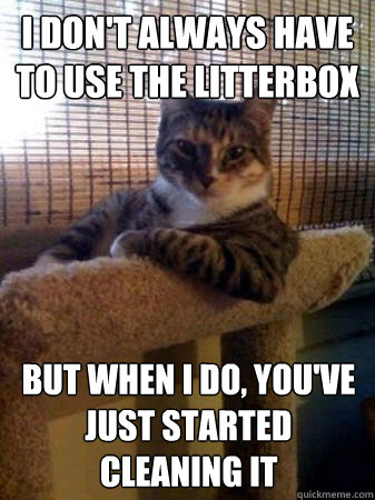 I don't always have to use the litterbox But when i do, you've just started cleaning it  The Most Interesting Cat in the World