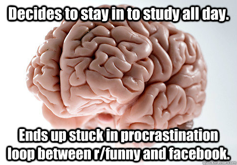 Decides to stay in to study all day. Ends up stuck in procrastination loop between r/funny and facebook.    Scumbag Brain