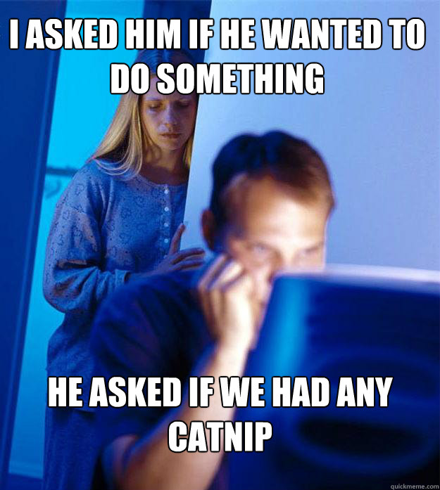 I asked him if he wanted to do something he asked if we had any catnip  Redditors Wife