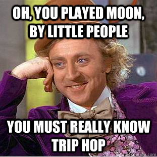 Oh, you played moon, by little people you must really know trip hop  Condescending Wonka