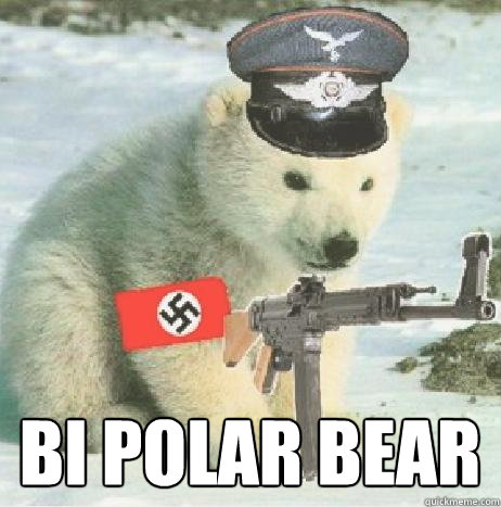 bi polar bear  