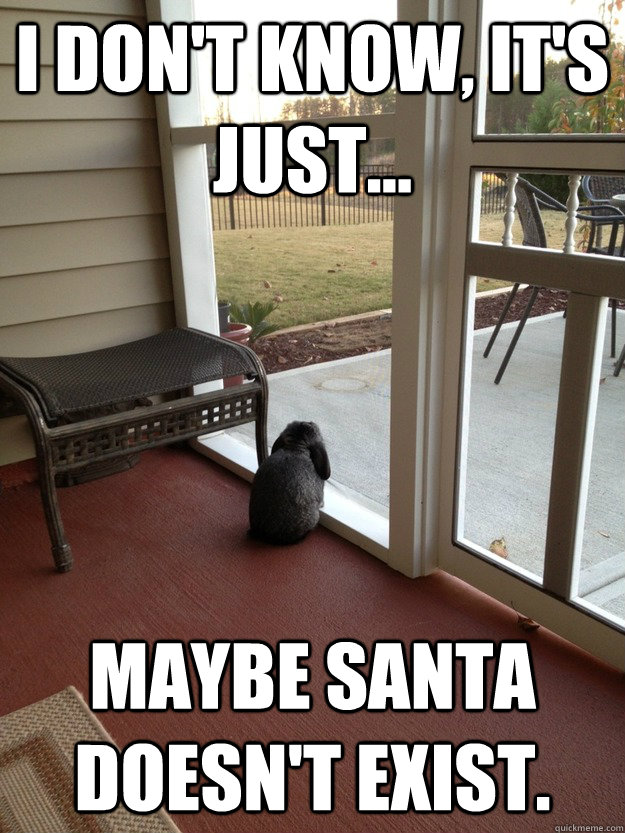 I don't know, It's just... maybe santa doesn't exist.  Facing Reality Bunny