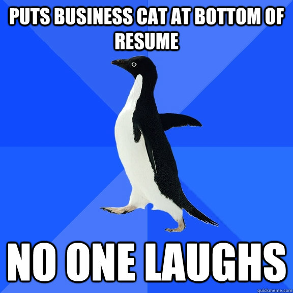 Puts business cat at bottom of resume no one laughs  Socially Awkward Penguin